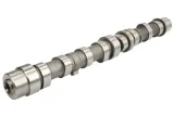 engitech-ent081012-walek-rozrzadu