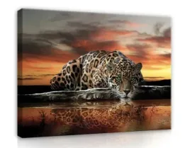 plakat-glamur-lampart-tygrys-afryka-safari-nowoczesny-100x70-cm-35