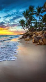 plakat-palmy-ocean-dominikana-zachod-slonca-nowoczesny-100x70-cm-2