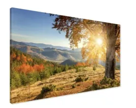 plakat-gory-las-widok-slonce-drzewa-nowoczesny-100x70-cm-38