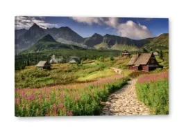 plakat-hala-gasienicowa-tatry-nowoczesny-poster-100x70-cm-7