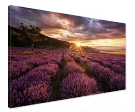 plakat-lawendowe-pole-kwiaty-do-salonu-nowoczesny-100x70-cm-11