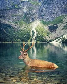 plakat-gory-morskie-oko-tatry-jezioro-nowoczesny-100x70-cm-12