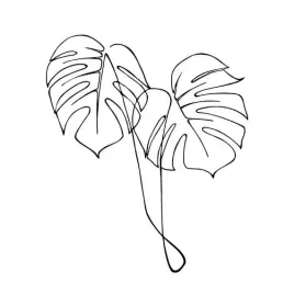 plakat-one-line-art-monstera-lisc-vintage-50x40-cm