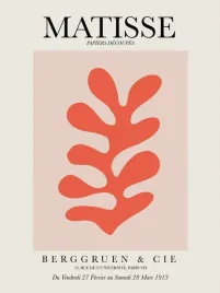 plakat-henri-matisse-vintage-retro-obraz-50x40-cm-8