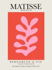 plakat-matisse-vintage-retro-obraz-50x40-cm-8