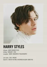 plakat-harry-styles-obraz-vintage-retro-50x40-cm-3