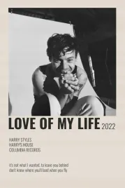 plakat-harry-styles-obraz-vintage-retro-50x40-cm-1