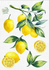 plakat-do-kuchni-cytryny-retro-vintage-50x40-cm