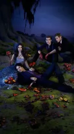 plakat-pamietniki-wampirow-damon-elena-50x40-cm