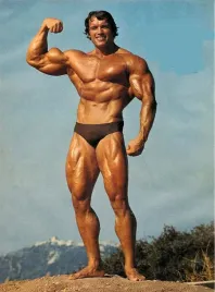 plakat-arnold-schwarzenegger-kulturysta-50x40-cm-5