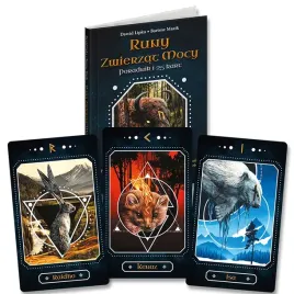 runy-zwierzat-mocy-25-kart-ksiazka-bartosz-mazik-dawid-lipka