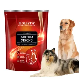 holista-arthro-strong-na-stawy-sciegna-dysplazja-dla-psow-duzych-ras-600g