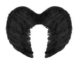 skrzydla-aniola-czarne-z-pior-134368-45x35cm