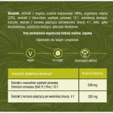 solve-labs-mushroom-matcha-elixir-lion-s-mane-maca-12-saszetek-liczba-sztuk-12-szt