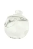 cacharel-noa-edt-50ml-grupa-zapachowa-drzewno-kwiatowo-pizmowa