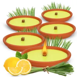 swieca-swieczka-zapachowa-z-citronella-o-zapachu-cytryn-no-pest-5-szt