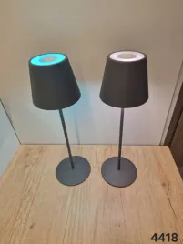dwie-lampki-led-4418-19