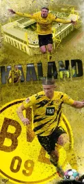 podkladka-pod-mysz-nadruk-22x18-cm-erling-haaland-borussia-tekst-prezent