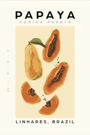 podkladka-pod-mysz-z-nadrukiem-22x18-cm-owoce-warzywa-vintage-tekst-prezent