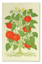 podkladka-pod-mysz-z-nadrukiem-22x18-cm-owoce-warzywa-vintage-tekst-prezent