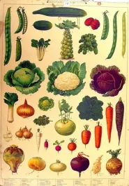 podkladka-pod-mysz-z-nadrukiem-22x18-cm-warzywa-art-vintage-tekst-prezent