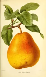 podkladka-pod-mysz-z-nadrukiem-22x18-cm-owoce-warzywa-vintage-tekst-prezent