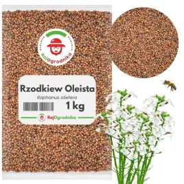 rzodkiew-oleista-1-kg-nasiona-na-poplon-uzyznia-glebe-nawoz-rajogrodnika
