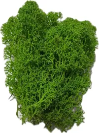 mech-ozdobny-florystyczny-100g-jasnozielony-dekoracyjny