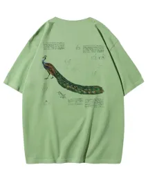 meska-koszulka-z-nadrukiem-pawia-eleganckim-szkicem-rysunkiem-zielona-xl