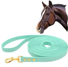lonza-dla-konia-do-pracy-z-koniem-wodoodporna-mietowa-500cm-5m-tasma-2cm
