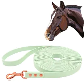 lonza-dla-konia-do-pracy-z-koniem-wodoodporna-pistacjowa-500cm-5m-tasma-2cm