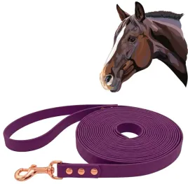 lonza-dla-konia-do-pracy-z-koniem-wodoodporna-fioletowa-500cm-5m-tasma-2cm