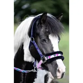kantar-hkm-funny-horses-hearts-granat-shetty