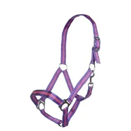 kantar-hkm-budapest-lila-roz-pony