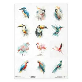 papier-ryzowy-do-decoupage-a3-r1690l-flaming-tukan-papuga-ptaki