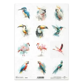 papier-ryzowy-do-decoupage-a4-r2849-tropikalne-ptaki