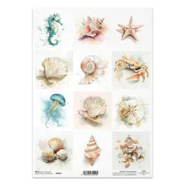 papier-ryzowy-do-decoupage-a4-r2857-muszle-konik-morski-meduza