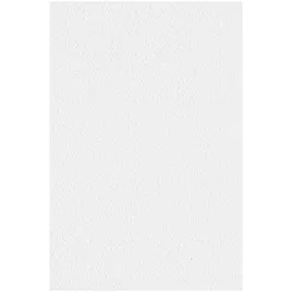 papier-ozdobny-a4-tintoretto-gesso-bialy-250g-10-ark