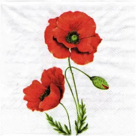 serwetka-do-decoupage-33x33cm-proud-poppy-maki