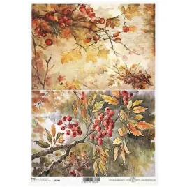 papier-ryzowy-do-decoupage-a4-itd-r2299-rosliny-jarzebina-jesien
