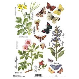 papier-ryzowy-a4-do-decoupage-ziola-kwiaty-motyle