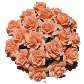 kwiaty-papierowe-roze-gwiazdziste-brzoskwiniowe-25mm-50-szt