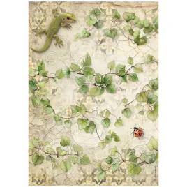 papier-ryzowy-do-decoupage-a4-stamperia-all-around-bluszcz