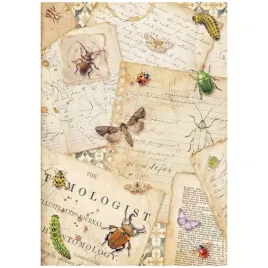papier-ryzowy-do-decoupage-a4-stamperia-all-around-listy