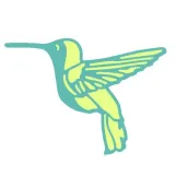 wykrojnik-do-papieru-sizzix-thinlits-free-bird-koliber-rodzaj-wykrojniki