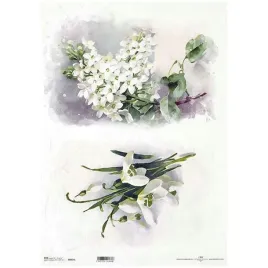 papier-ryzowy-do-decoupage-a3-itd-814l-przebisniegi-zawilce-biale