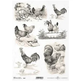 papier-ryzowy-do-decoupage-a4-r667-kury-koguty