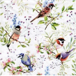 serwetka-do-decoupage-33x33cm-busy-birds-ptaszki-1szt