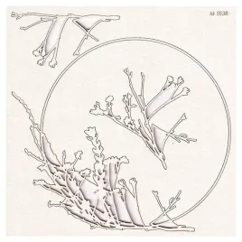tekturka-herbal-phoenix-duza-ramka